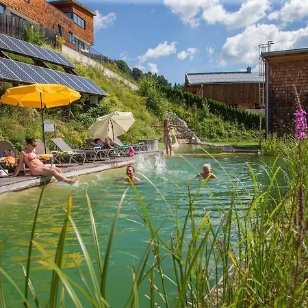 Bachgut, Am Berg - Stammhaus Winter * Saalbach-Hinterglemm